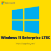 mua-windows-11-Enterprise-ltsc