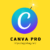 Mua Canva Pro giá rẻ (6 – 12 tháng)