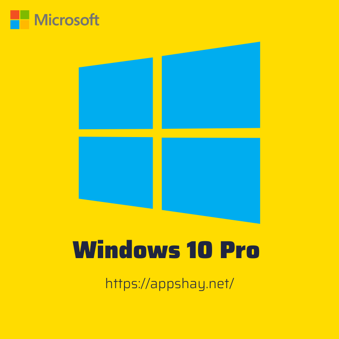 Mua key Windows 10 Pro giá rẻ (key Lifetime)